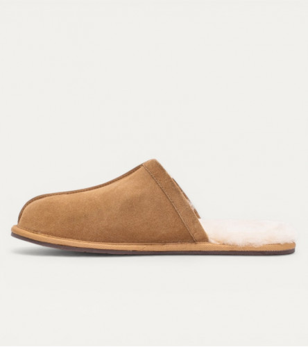 UGG Mens Scuff Slipper - Chestnut
